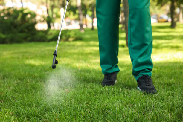 Best Wildlife Control Services  in Rhome, TX