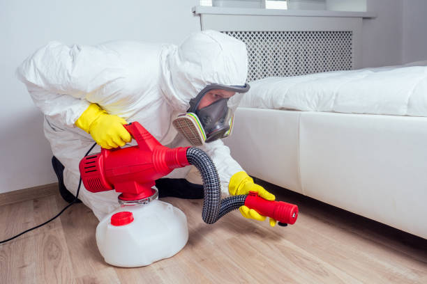 Best Flea Control Services  in Rhome, TX