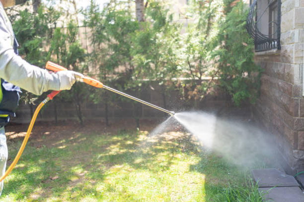 Best Pest Control for Homes  in Rhome, TX