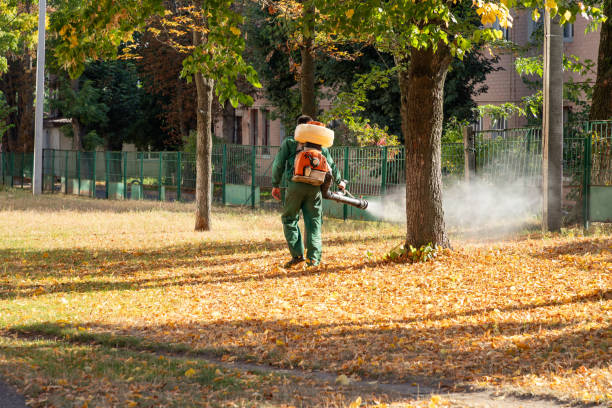 Best Commercial Pest Control Services  in Rhome, TX